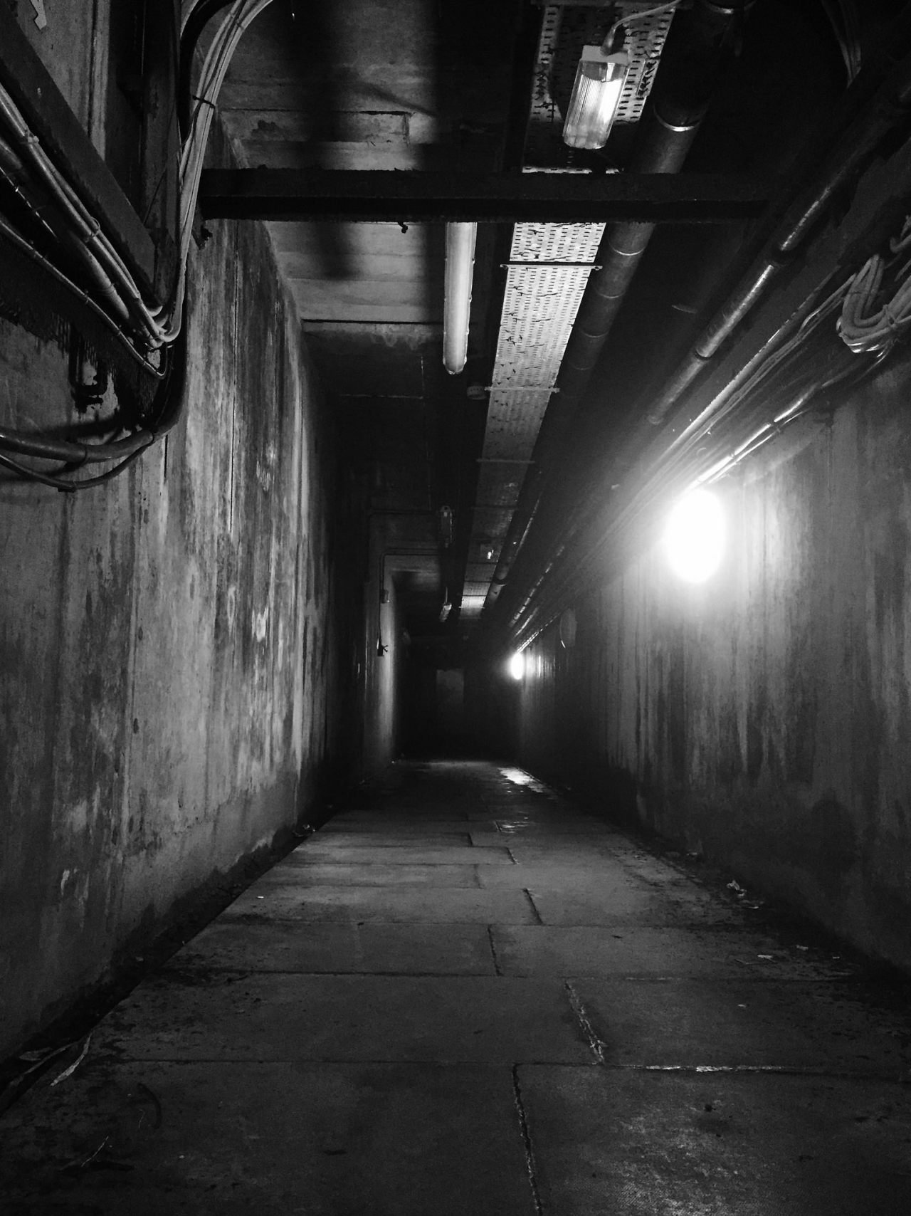 Archillect ID 387486