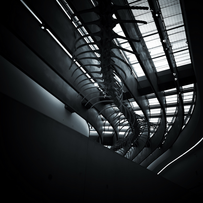 Archillect ID 387546