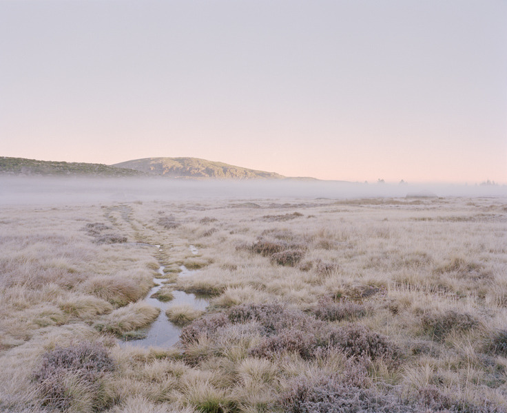 Archillect ID 387549