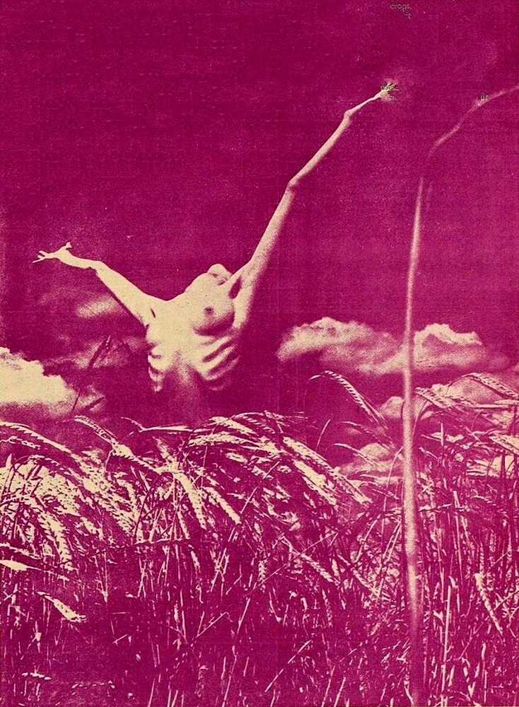 Archillect ID 387550