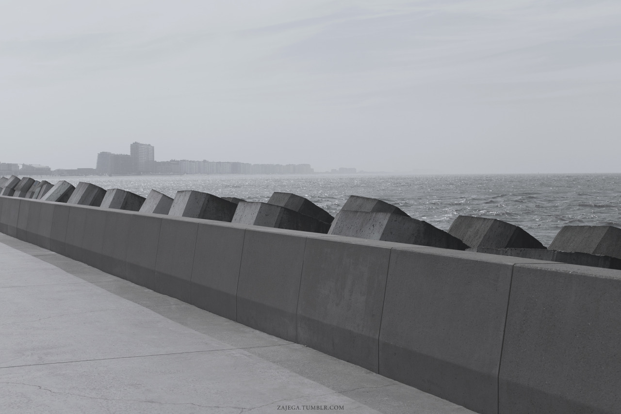 Archillect ID 387561