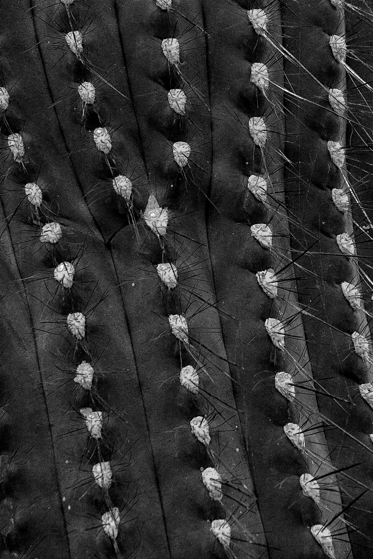 Archillect ID 387602