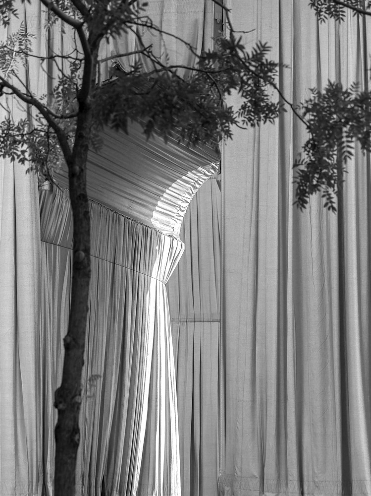 Archillect ID 387606