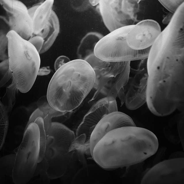 Archillect ID 387702