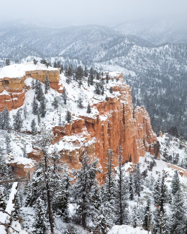 Archillect ID 387776