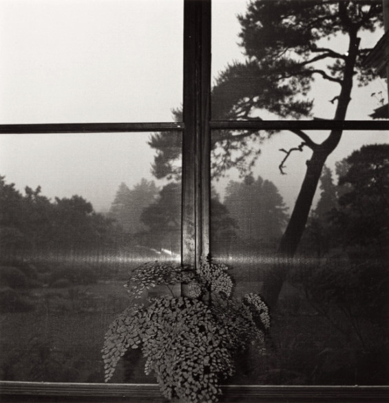 Archillect ID 387778