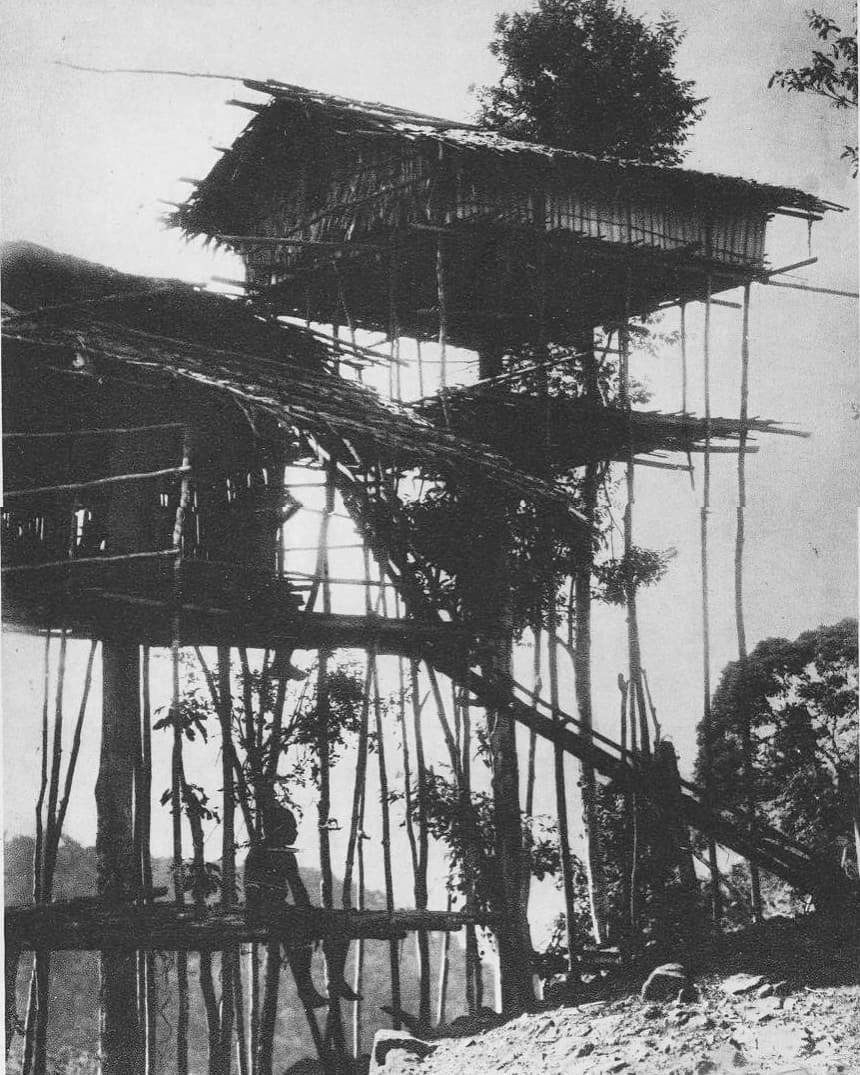 Archillect ID 387779