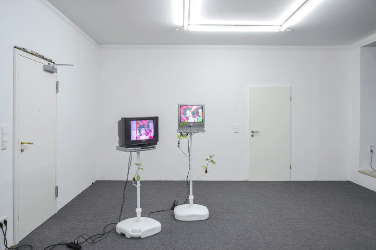 Archillect ID 387814