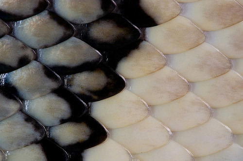 Archillect ID 387825