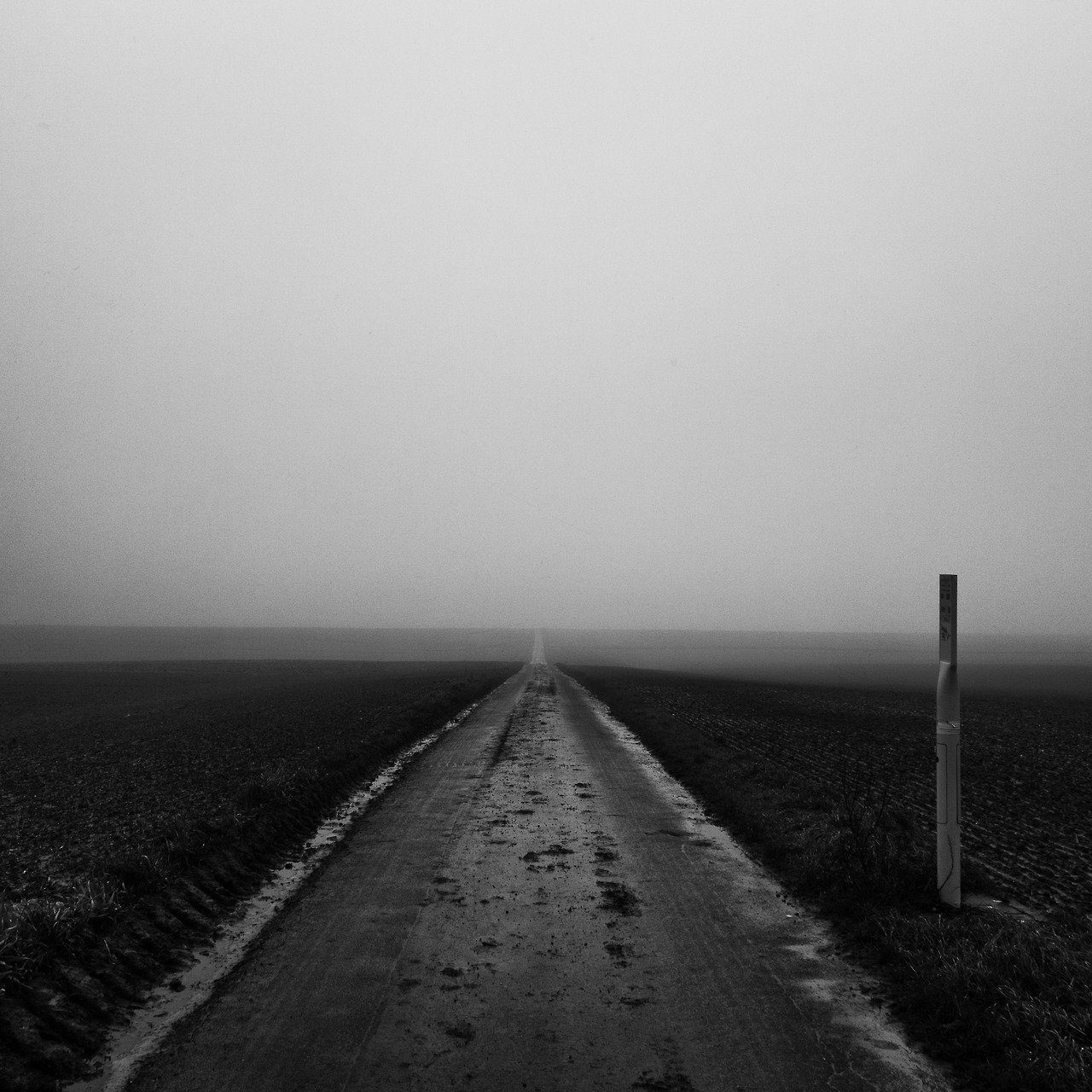 Archillect ID 387860