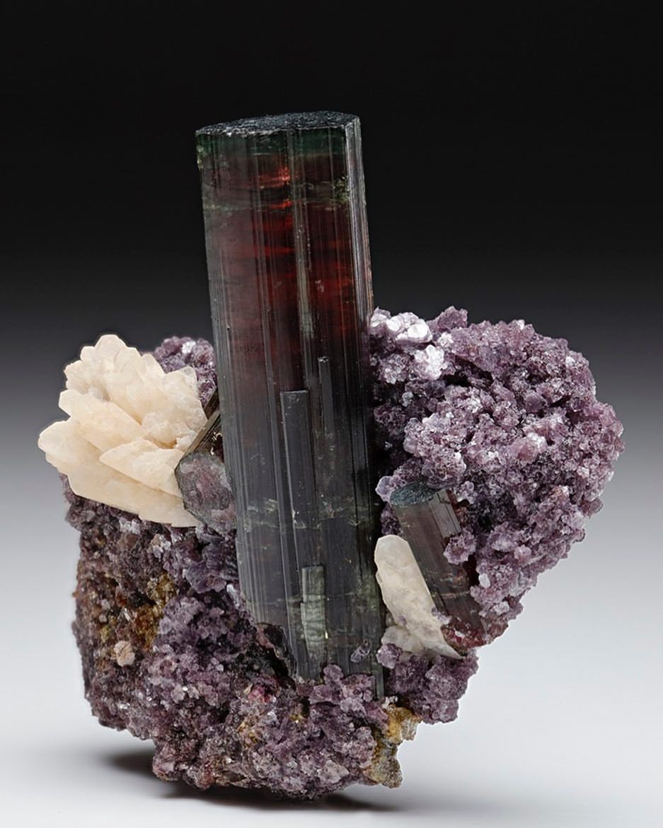 Archillect ID 387951