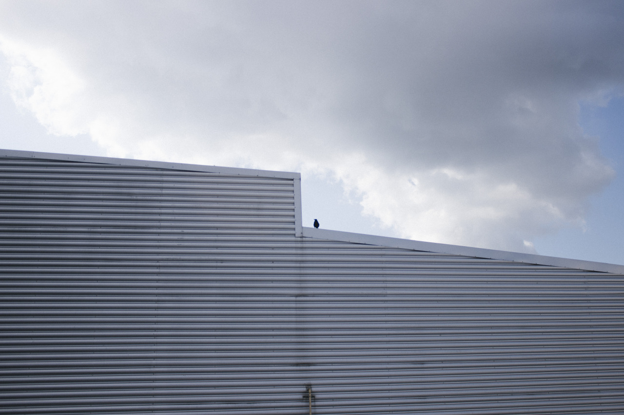 Archillect ID 387970