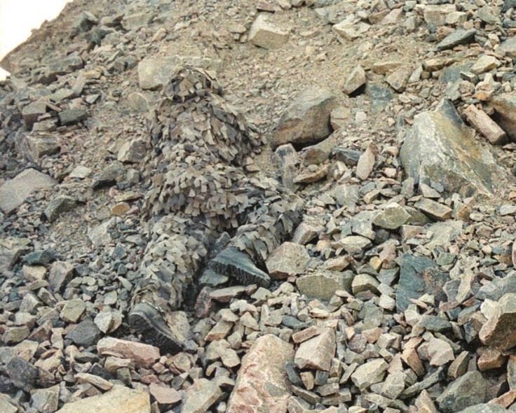 Archillect ID 388012