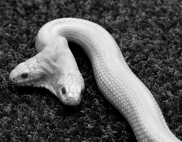 Archillect ID 388027