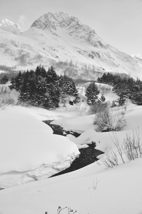 Archillect ID 388041