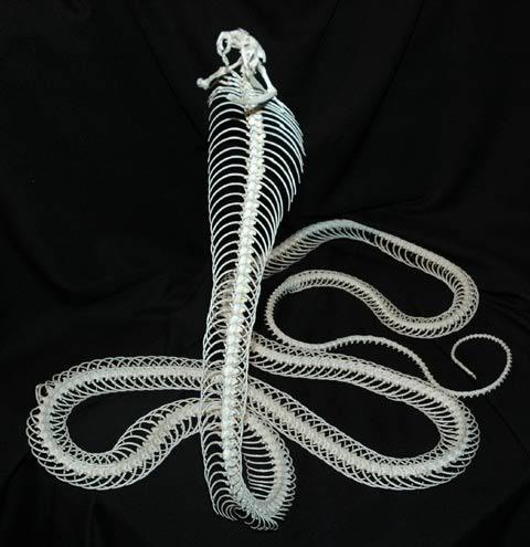 Archillect ID 388065