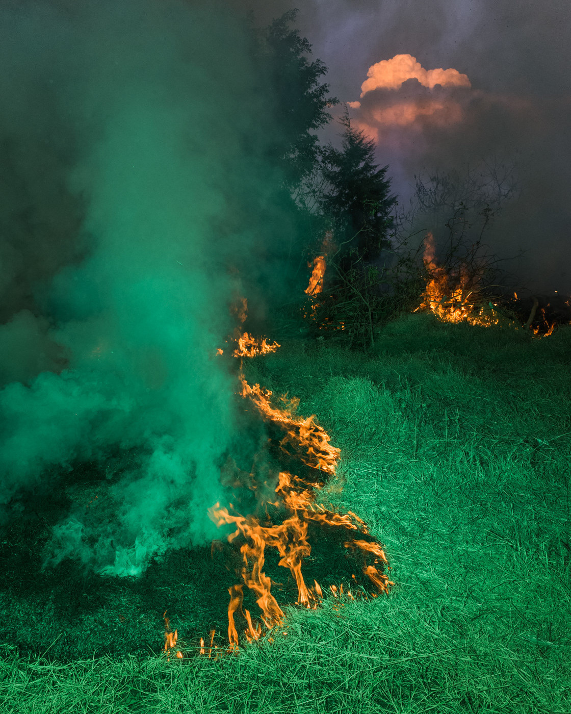 Archillect ID 388072