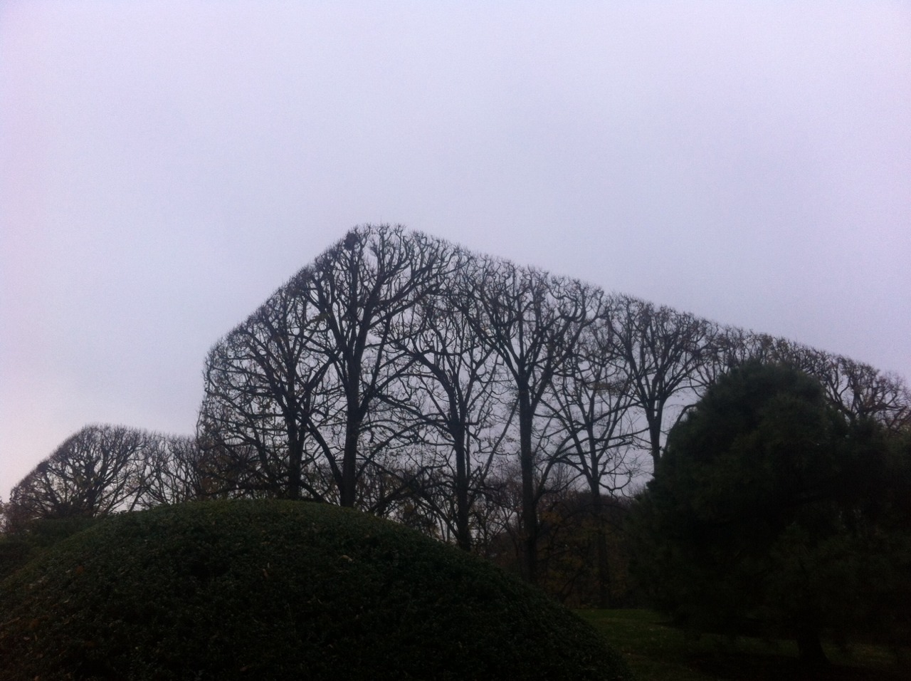 Archillect ID 388258