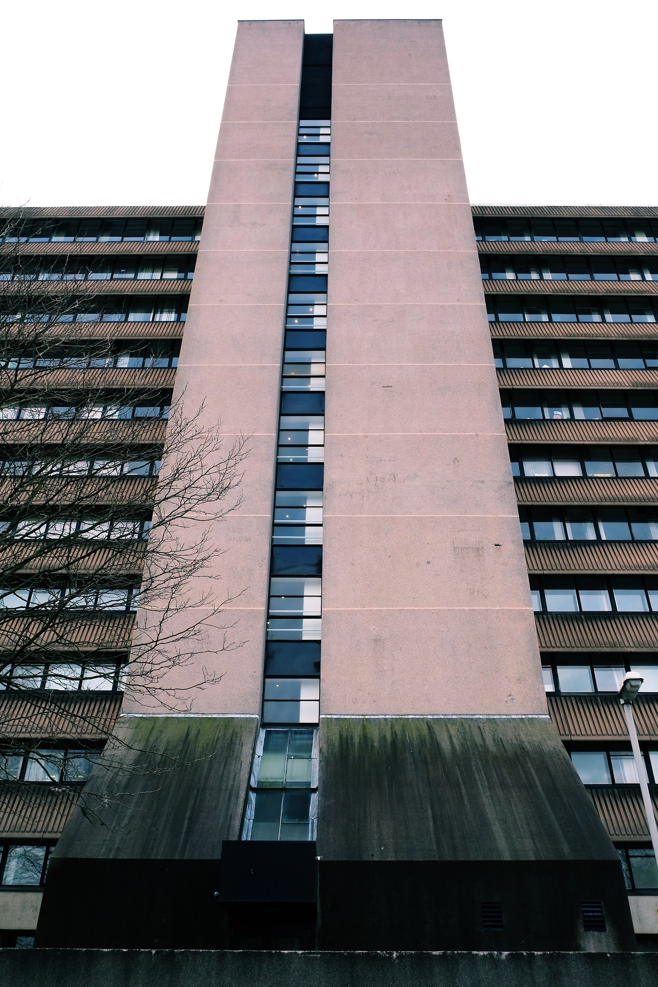 Archillect ID 388261