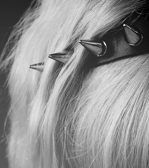 Archillect ID 388278