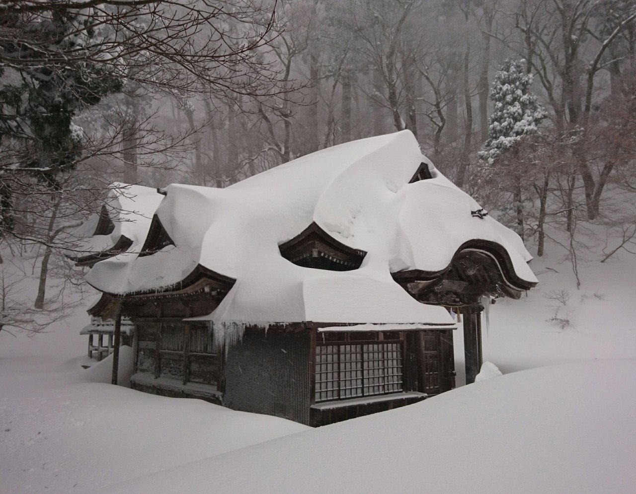 Archillect ID 388335