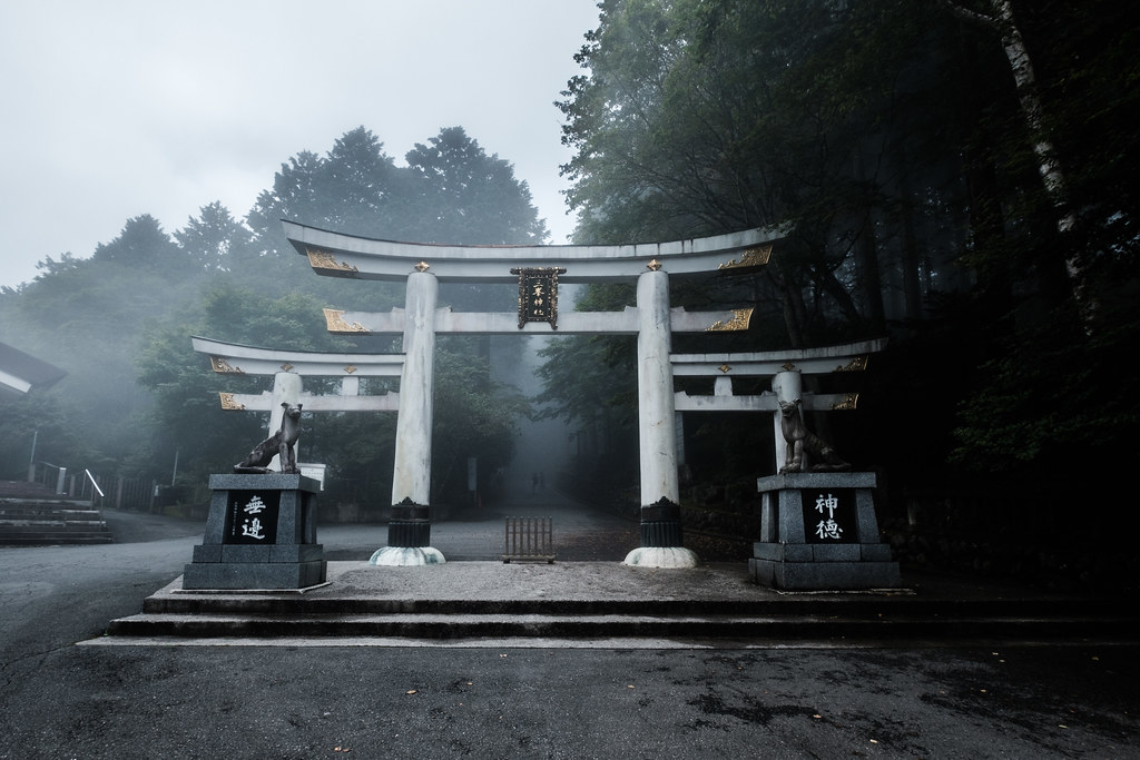 Archillect ID 388346