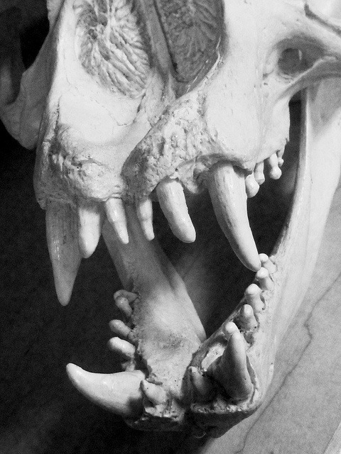 Archillect ID 388372