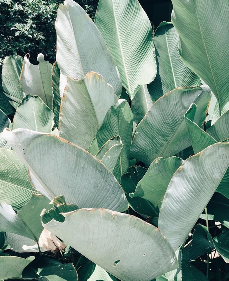 Archillect ID 388390