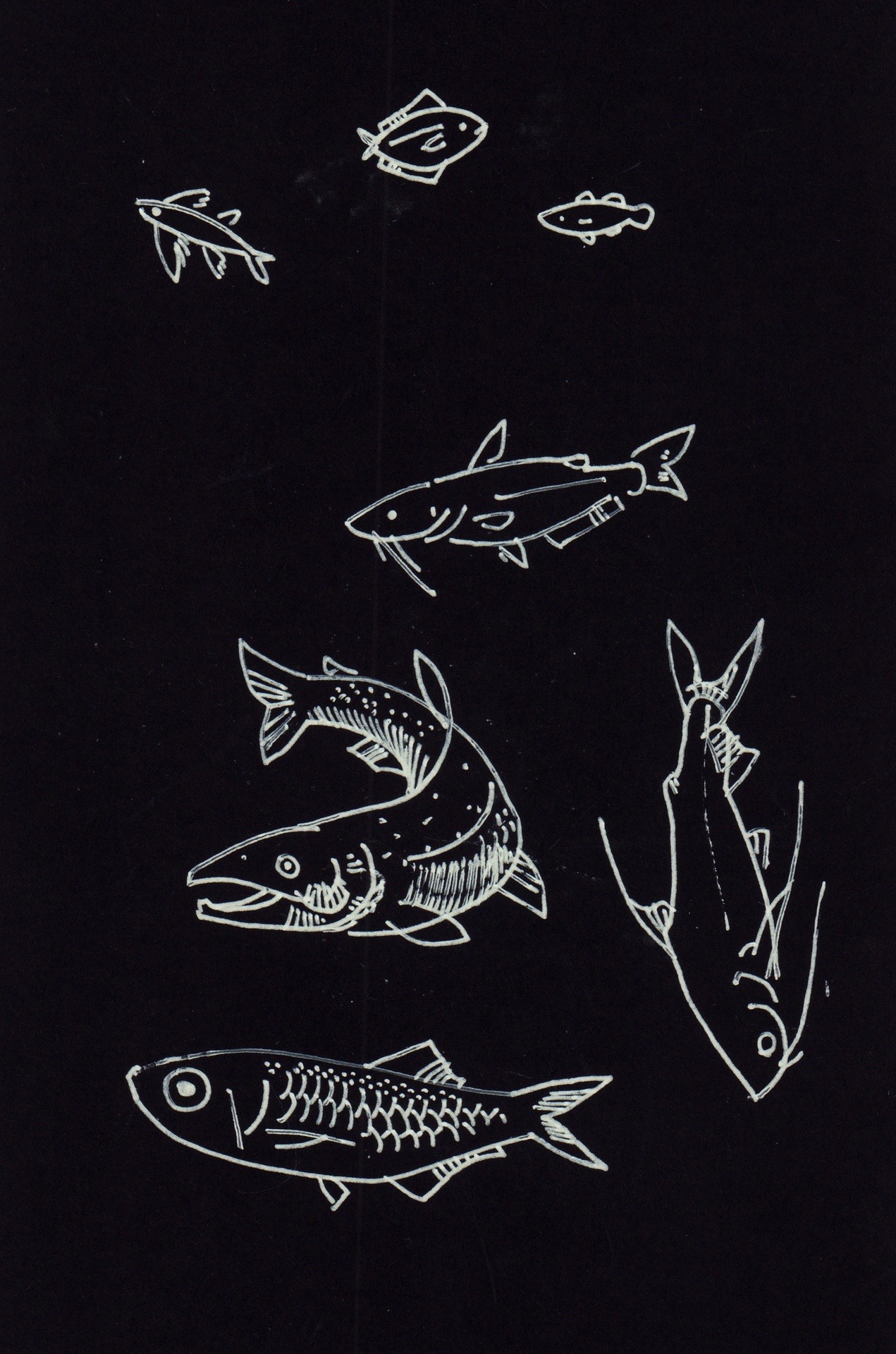 Archillect ID 388408