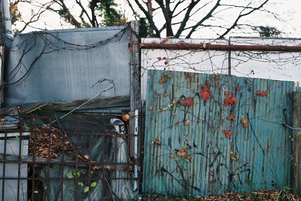 Archillect ID 388451