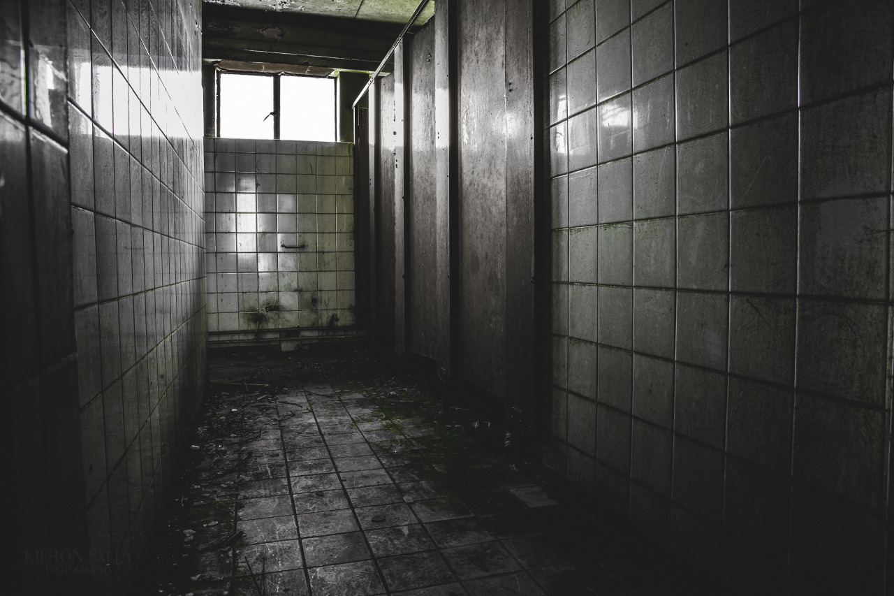 Archillect ID 388469