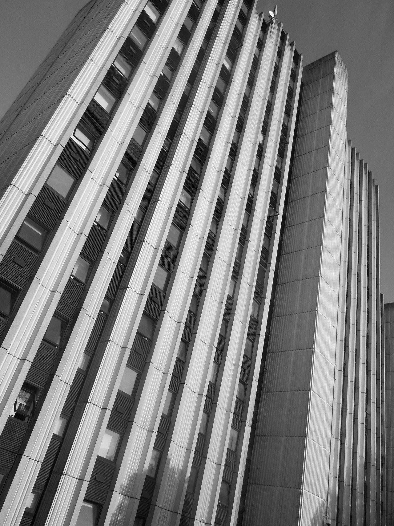 Archillect ID 388470