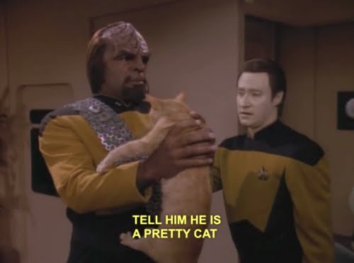 Archillect ID 388512