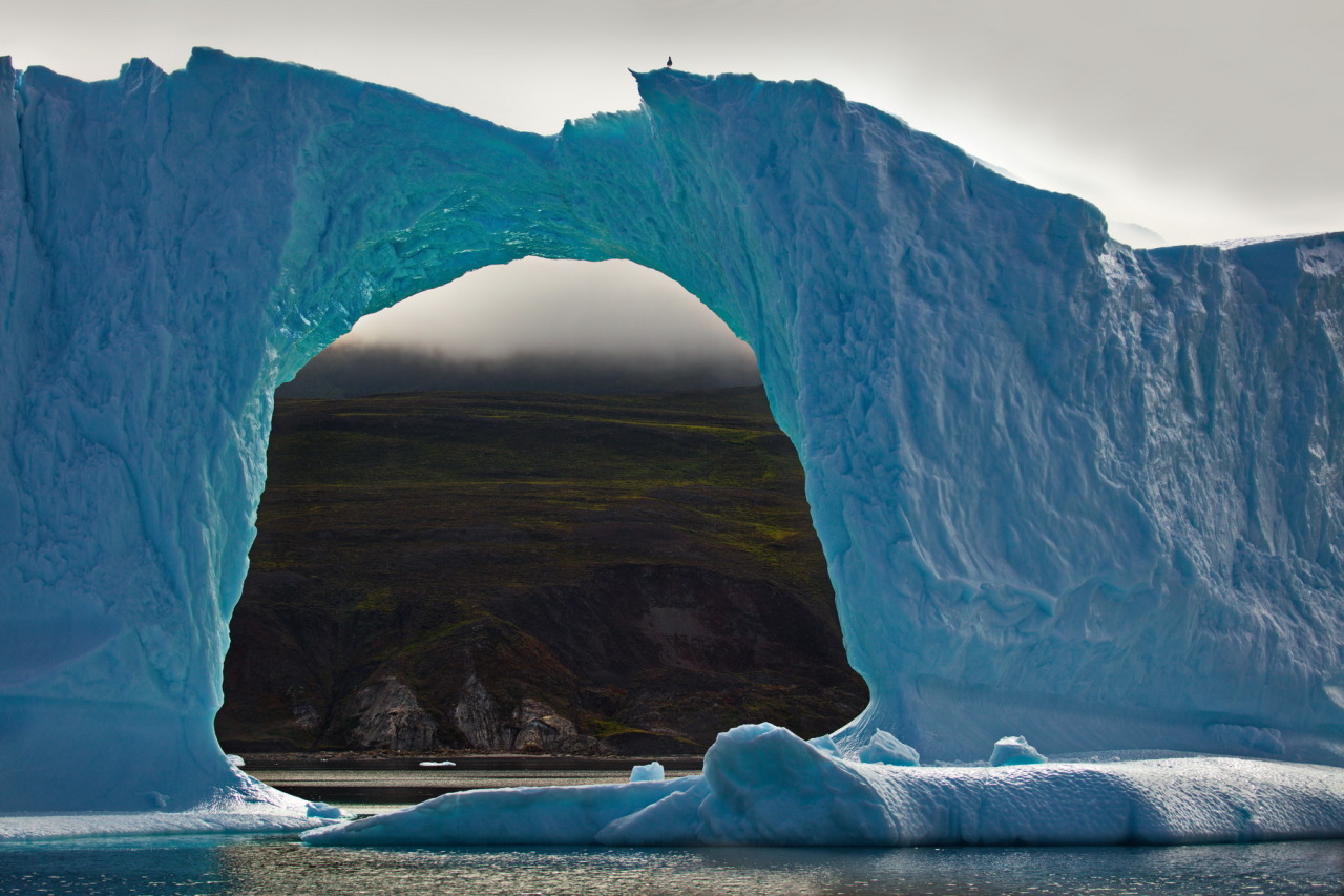 Archillect ID 388522