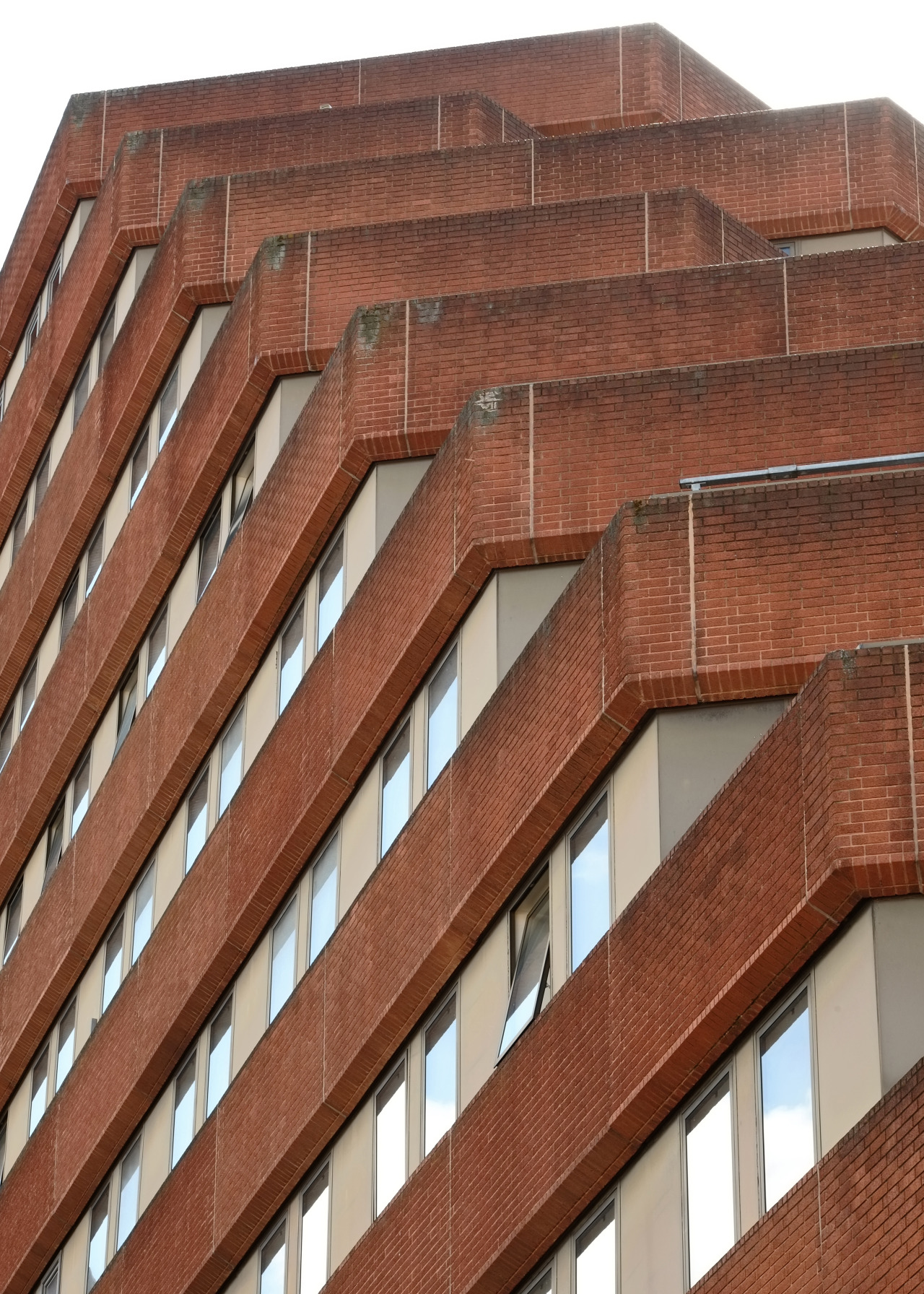 Archillect ID 388609