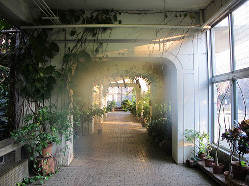 Archillect ID 388648