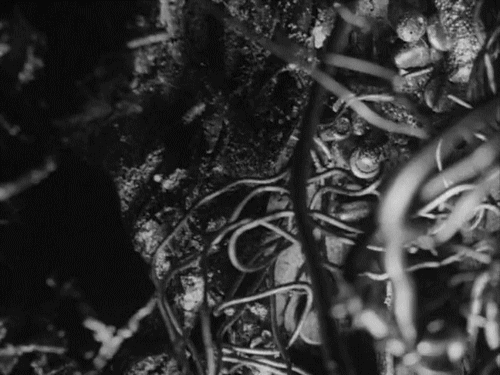 Archillect ID 388662