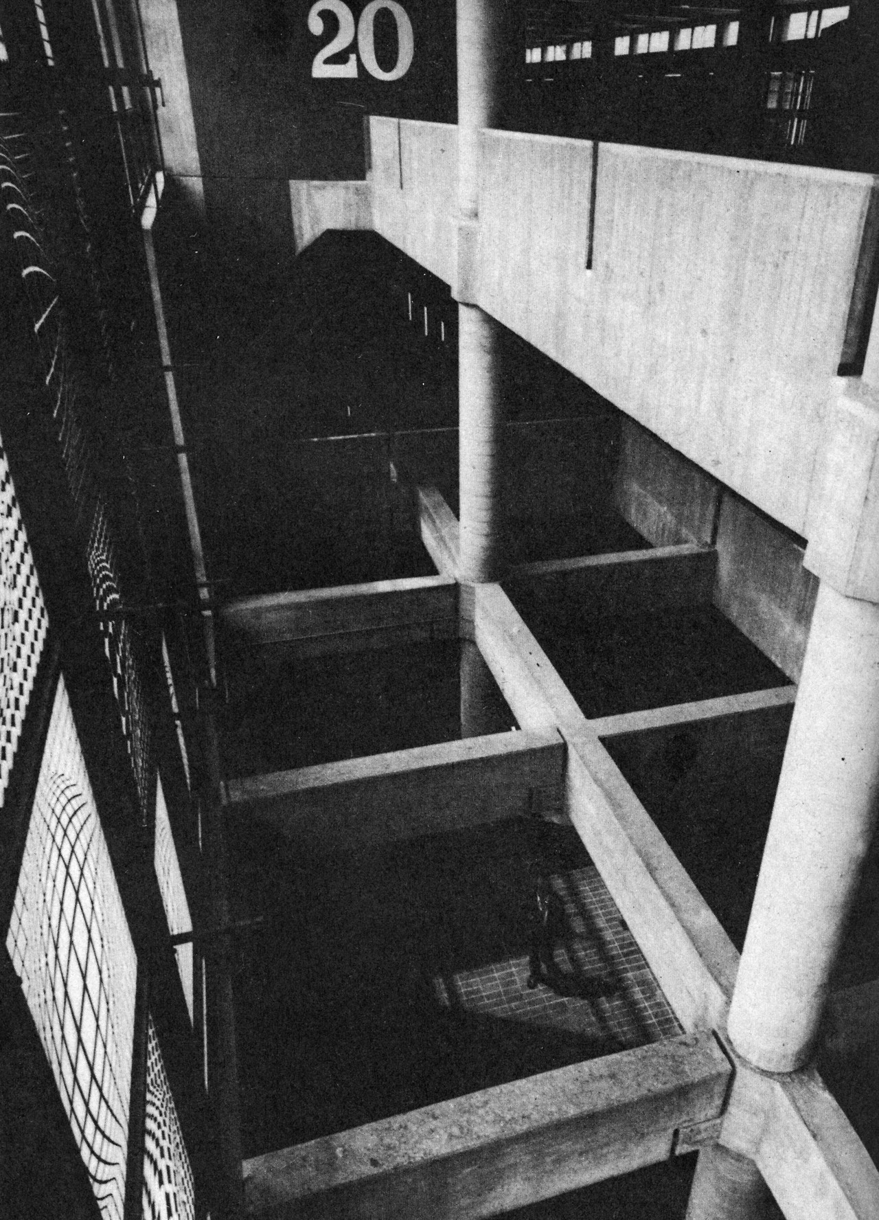 Archillect ID 388695