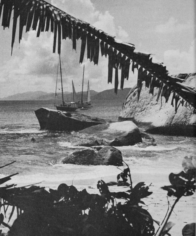 Archillect ID 388718