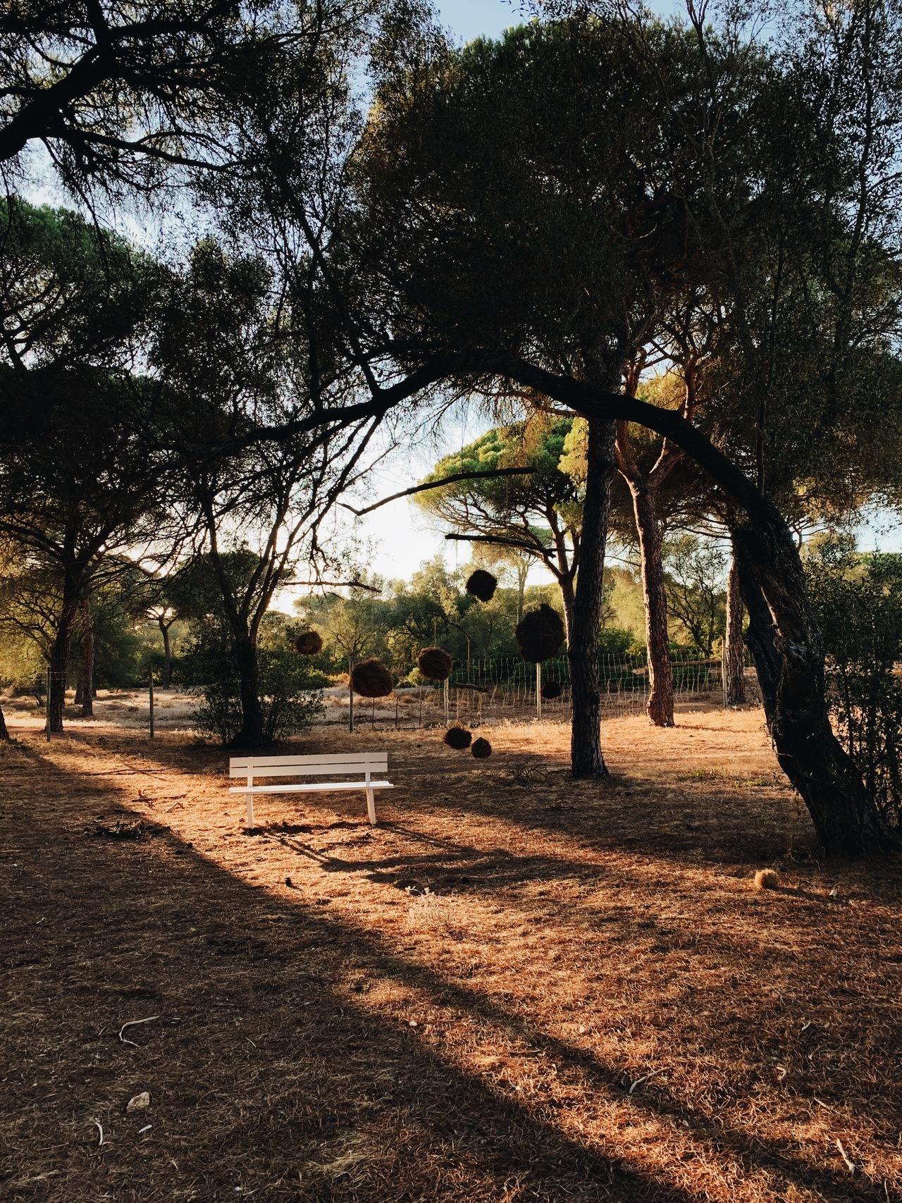 Archillect ID 388825