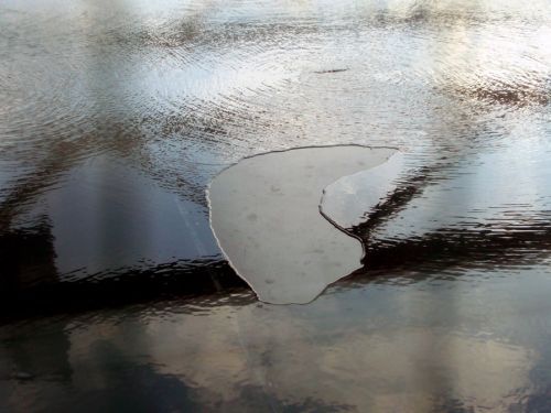 Archillect ID 388836