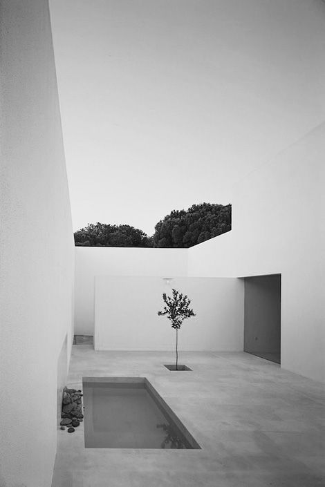 Archillect ID 388843