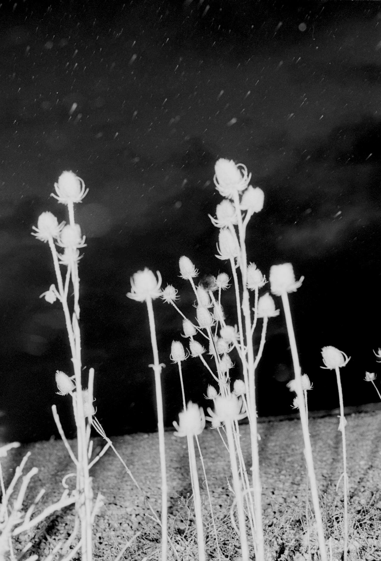 Archillect ID 388895