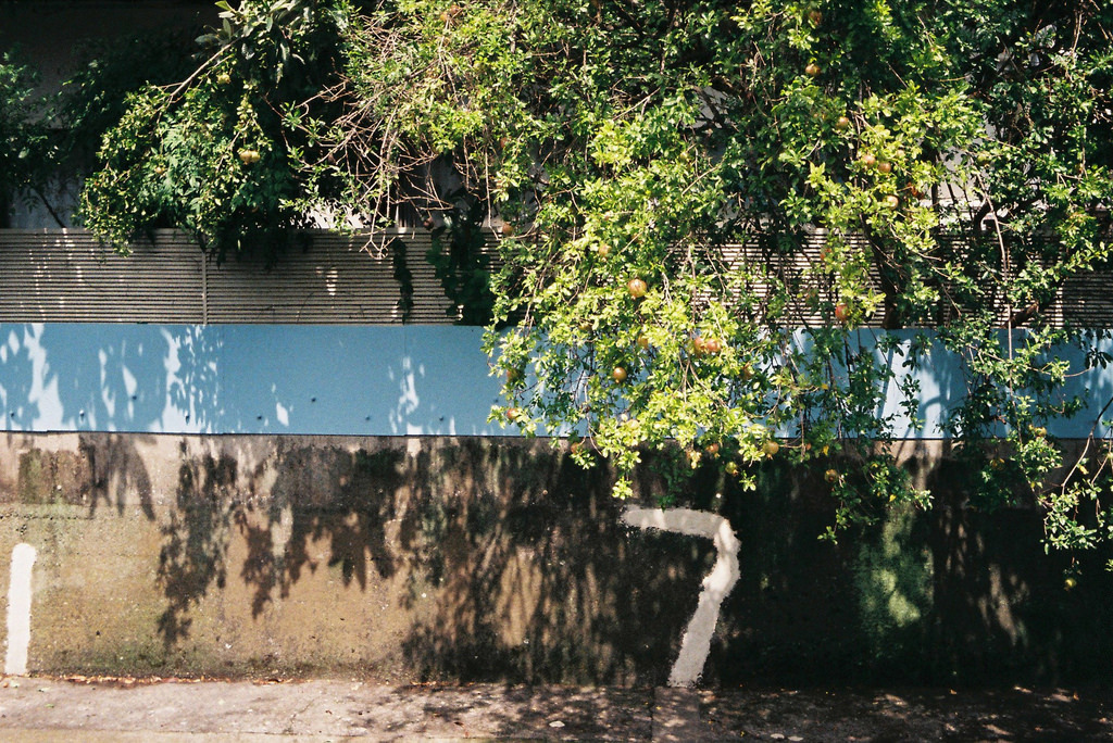 Archillect ID 388902