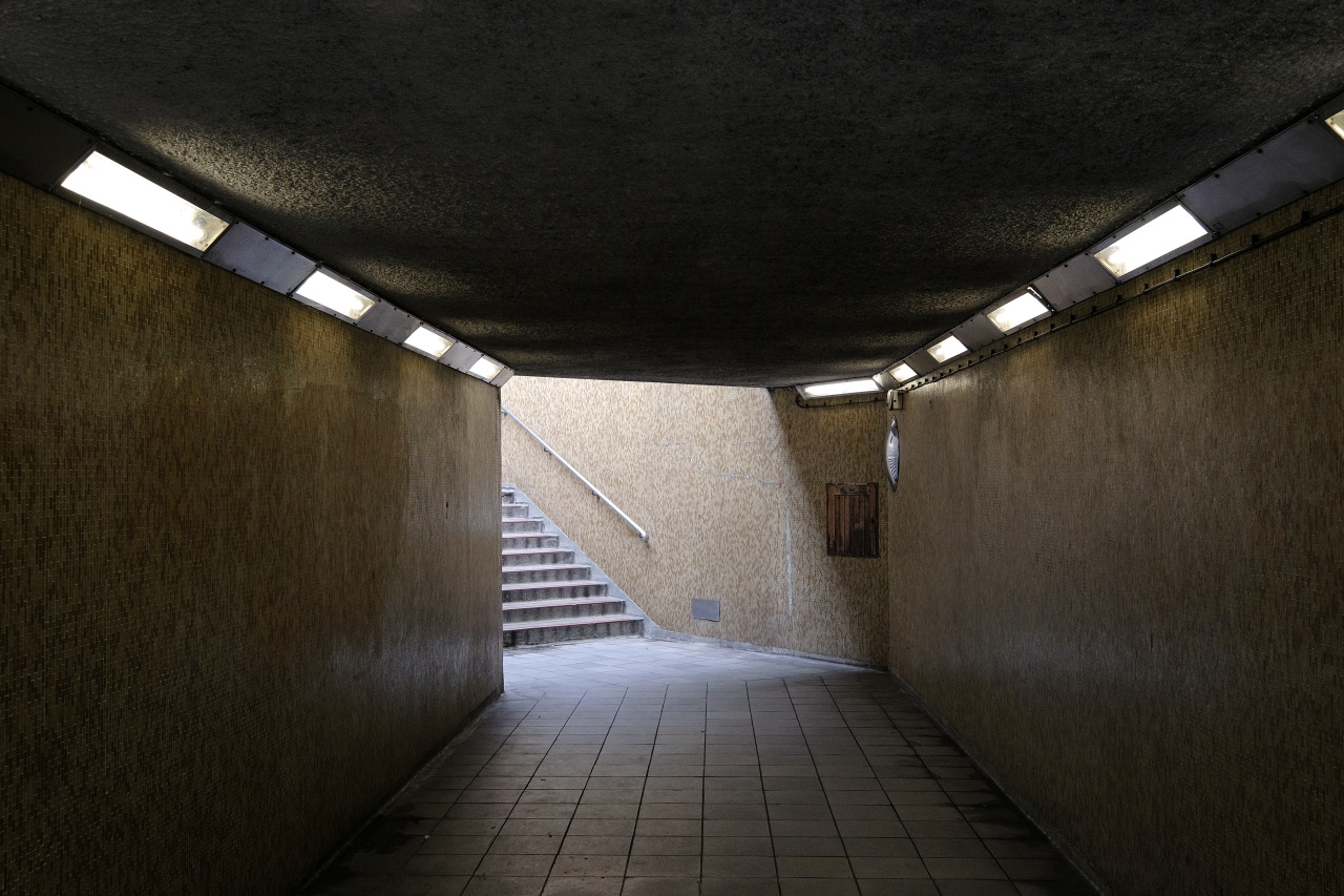 Archillect ID 388911