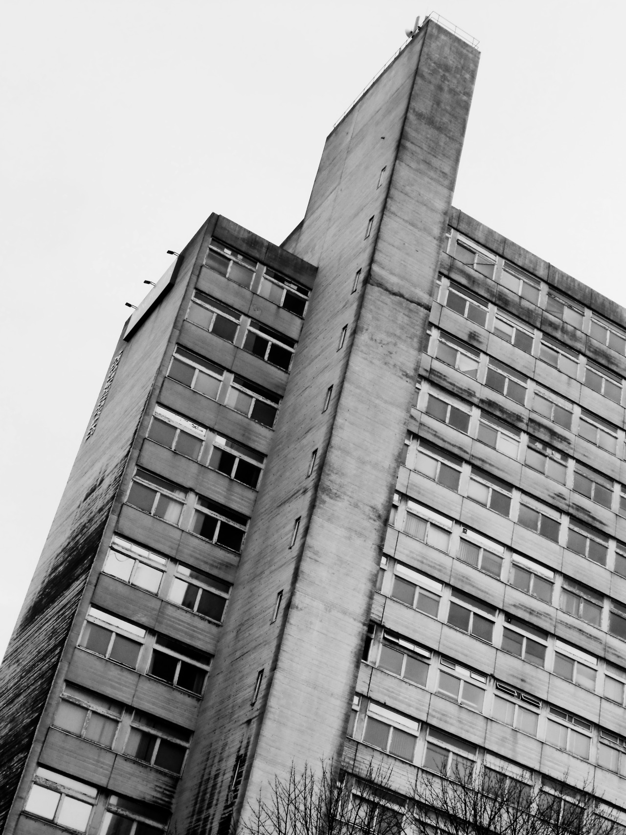 Archillect ID 388942