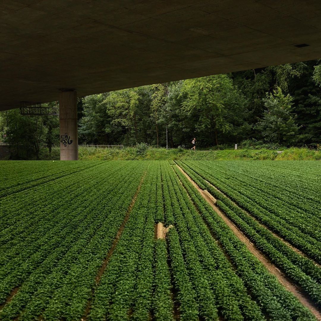 Archillect ID 388964