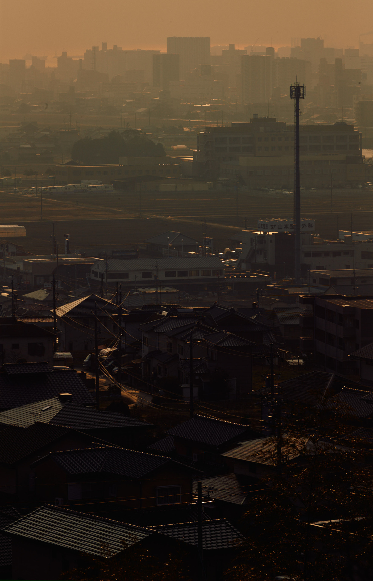 Archillect ID 388971