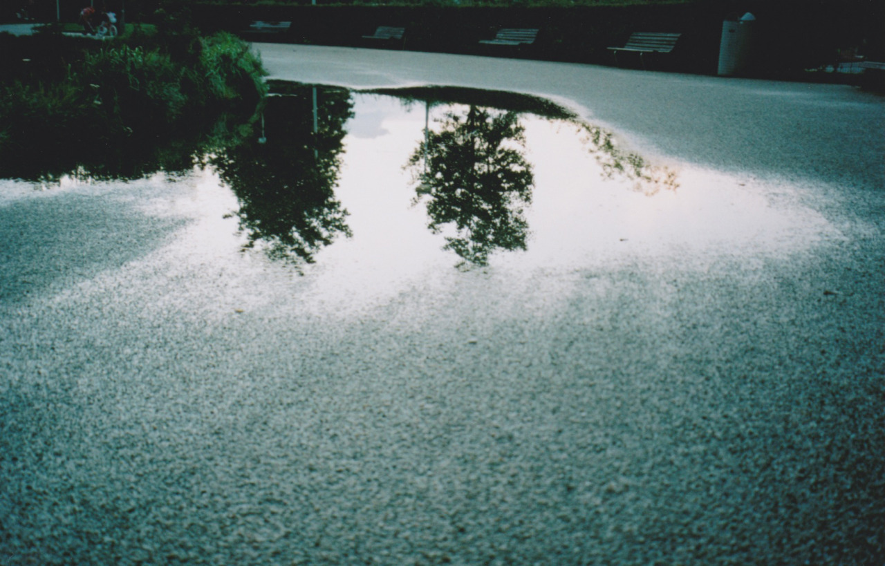 Archillect ID 389008