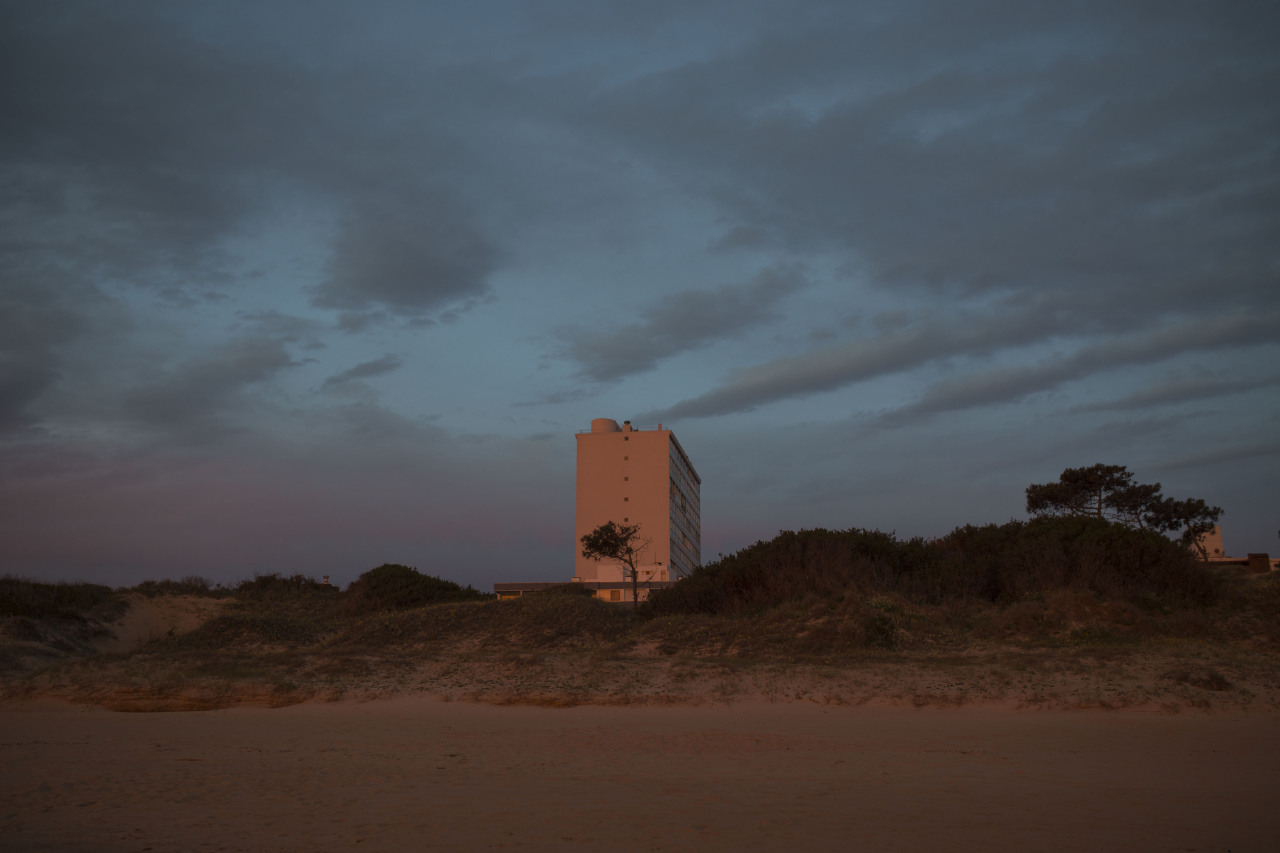 Archillect ID 389012